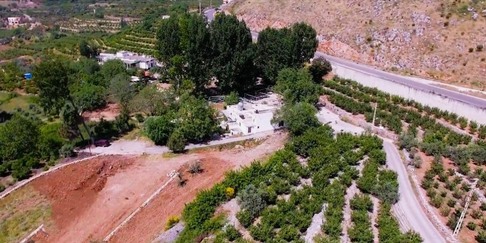 WhatsApp Image 2025-11-08 at 1.17.00 PM